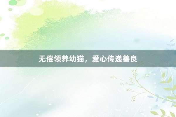 无偿领养幼猫，爱心传递善良